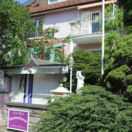 Lila Villa Schwenningen Villingen-Schwenningen Exteriér fotografie